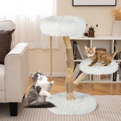 White Cat Tree 35.5 Inches on a Pear Wood Trunk with Two Round Beds