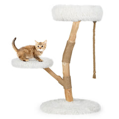 White Cat Tree 35.5 Inches on a Pear Wood Trunk with Two Round Beds