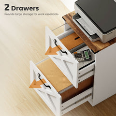 2 Drawer File Cabinet with Silent Slides, Vertical Farmhouse Filing Cabinet Fits Letter/A4 Size Home Office, Black