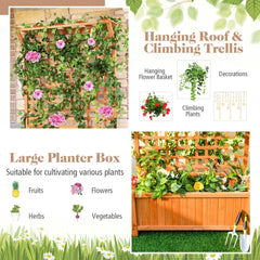 Raised Garden Bed with Trellis and Hanging Roof-Natural