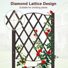 Raised Garden Bed with Diamond Trellis in Coffee, Self Watering Planter for Climbing Plants