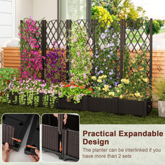 Raised Garden Bed with Diamond Trellis in Coffee, Self Watering Planter for Climbing Plants