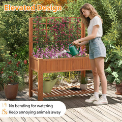 Raised Garden Bed with Trellis Wooden Elevated Planter Box with Legs-Orange