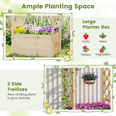 Raised Garden Bed Wooden Elevated Planter Box with Hanging Roof-S