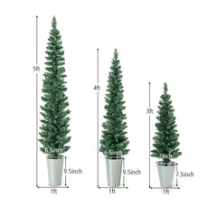 Set of 3 Potted Pencil Christmas Trees, 3 FT 4 FT and 5 FT in Silver Metal Buckets