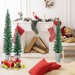 Set of 3 Potted Pencil Christmas Trees, 3 FT 4 FT and 5 FT in Silver Metal Buckets