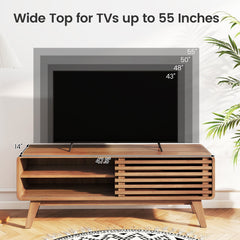 TV Stand for TVs up to 55 inches with Sliding Door and Adjustable Shelves for Living Room-Brown