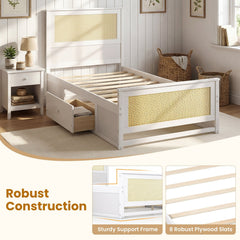 Twin Size Rattan Bed Frame with Storage Drawers-White