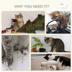 5PCs Cat Wall Shelves with Scratching Post, Ladder, Cat Bed, Jumping Platform, Perches, Toy Ball, Step
