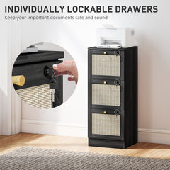 2 Drawer Filing Cabinet with Lock, Boho File Cabinet for A4 Letter Size Files with Decorative Rattan Accents, Oak