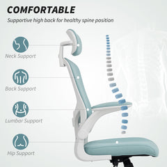 Ergonomic Office Chair, Mesh Desk Chair with Adjustable Headrest, Lumbar Support and Height, Flip-Up Armrests, Black