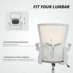 Ergonomic Office Chair, Swivel Desk Chair with Adjustable Lumbar Support, Headrest and Height, Flip-up Armrests, Beige