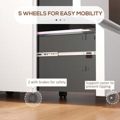 Mobile Vertical Filing Cabinet with Lock, 2-Drawer Steel File Cabinet with Adjustable Hanging Bar for Letter, A4 and Legal Size, Black