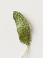 AG Care Hard Jel Extra-Firm Hold Hair Gel - Vegan Strong and Flexible Styling Gel, 6 Fl Oz