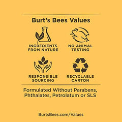 Burt's Bees 100% natural origin Moisturizing Lip Butter with Wild Rose and Berry, 11.3 Grams