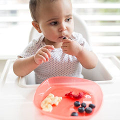 Dr. Brown's Toddler Plates, 4 Pack