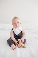 Copper Pearl Baby Bandana Drool Bibs 4 Pack Gift Set for Boys, or Girls, "Chip Set" (Assorted)