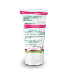Aleva Naturals Hypoallergenic Nursing Balm Breastfeeding Nipple Cream for Mothers, Plant-Based Natural and Organic Formula, Sensitive Skin Friendly - 1.7 fl. oz / 50ml, Clear
