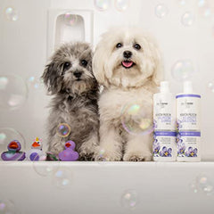 Isle of Dogs Volumizing Conditioner with Keratin, 16-Ounce