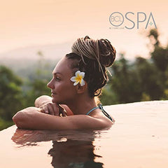 Bio Creative Lab Spa Massage Cream, Lavender, 16 Ounce