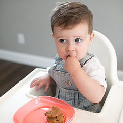 Dr. Brown's Toddler Plates, 4 Pack