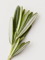 AG Care Stucco Matte Clay Paste with Long-Lasting Hold - Unisex Hair Pomade to Define and Texturise, 2.5 Fl Oz