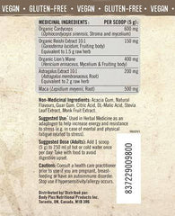 Iron Vegan Balanced Energy, Mushrooms & Adaptogen Blend, Iced Tea Lemonade Flavour, 150 gram