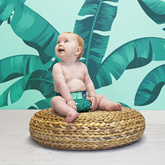 Bambino Mio, mioduo Cloth Diaper Cover, Hummingbird, Size 1 (<21lbs)
