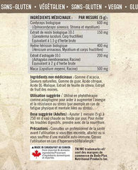 Iron Vegan Balanced Energy, Mushrooms & Adaptogen Blend, Iced Tea Lemonade Flavour, 150 gram