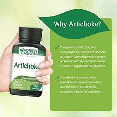 Artichoke