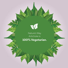 Nature's Way Artichoke Herbal Supplement – Used in Herbal Medicine to Help Relieve Digestive Disturbances/Dyspepsia – 300 mg Artichoke & 150 mg Milk Thistle – Non-GMO, Vegetarian – 60 Capsules