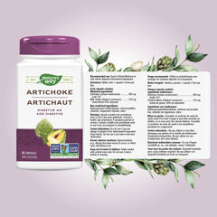 Nature's Way Artichoke Herbal Supplement – Used in Herbal Medicine to Help Relieve Digestive Disturbances/Dyspepsia – 300 mg Artichoke & 150 mg Milk Thistle – Non-GMO, Vegetarian – 60 Capsules