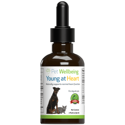 Young at Heart - for Healthy Heart Maintenance in Dogs - Pet WellBeing