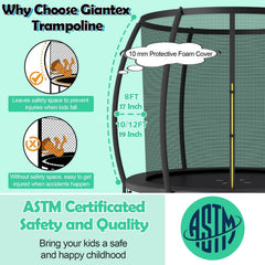 10 Feet ASTM Approved Recreational Trampoline with Ladder-Black