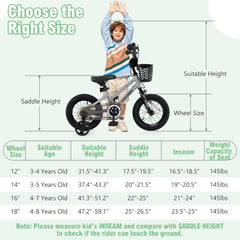 12 Inch Kids Bike with Basket, Bell and Detachable Training Wheels, Silver