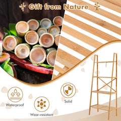 58 Inch 4 Tier Bamboo Ladder Bookshelf and Plant Stand, Natural
