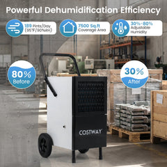 189 Pint Commercial Dehumidifier with Built-in Pump, 16 ft Lift, 8 in Wheels, Upright, Black and White