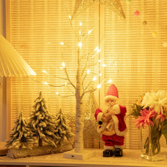 2 FT Pre-Lit White Birch Twig Tree with 24 Warm White LEDs, Battery Powered Tabletop Decor