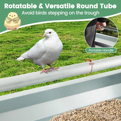 Metal Chicken Feeder Chicken Feeding Trough with Drainage Holes-Silver