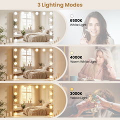 2-in-1 Vanity Mirror with 14 Dimmable LED Bulbs
