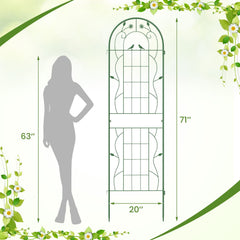 2 Pack 71 x 20 Inch Metal Garden Trellis Rustproof Plant Support for Climbing Plants-Green