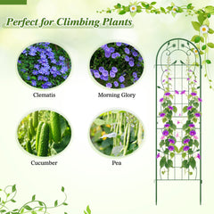2 Pack 71 x 20 Inch Metal Garden Trellis Rustproof Plant Support for Climbing Plants-Green