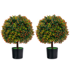 Artificial Boxwood Topiary Ball Trees with Orange Fruit, 2 Pack in Cement Pots
