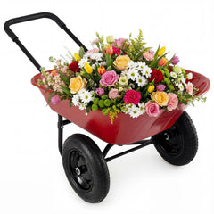 2 Tire Heavy-duty Dolly Utility Cart Wheelbarrow Garden Cart-Red