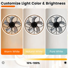 20” Celling Fan with Dimmable LED Light 6 Speeds and Timer-Black