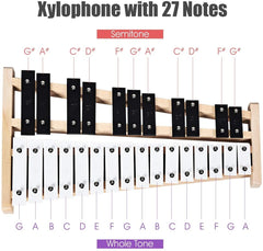 27 Note Glockenspiel Xylophone with 2 Rubber Mallets [Best Seller in the US]