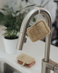 3 Pack Natural Loofah Sponge