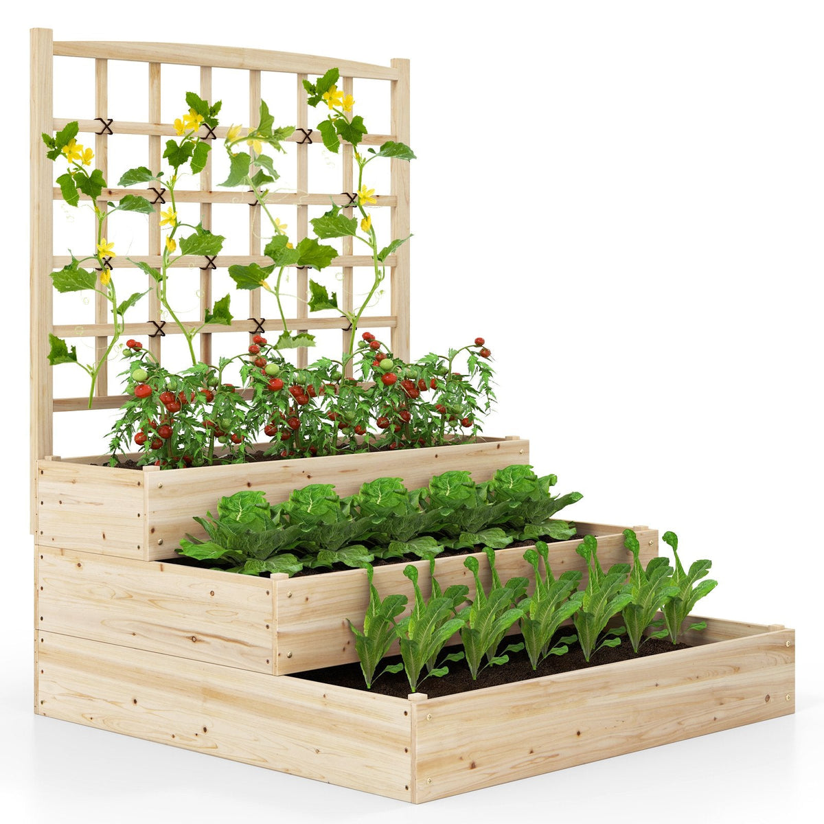 3-Tier Raised Garden Bed with Lattice Trellis and Open-Ended Base-Natural