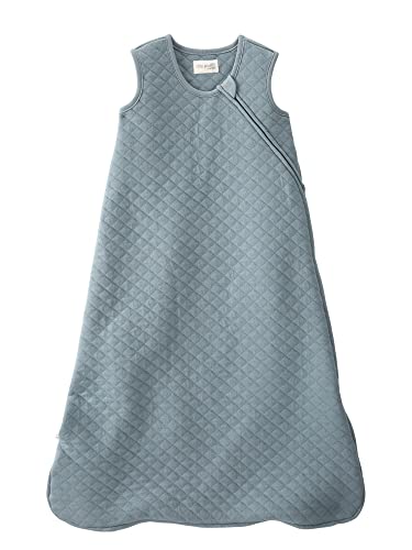 Little Planet by Carter's Unisex-Baby Baby Organic Cotton Wearable Blanket, Creek, Large