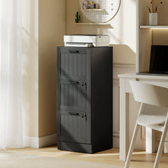 2 Drawer Filing Cabinet with Lock, Office Storage Cabinet with Adjustable Hanging Bars for A4 Letter Size Files, Black